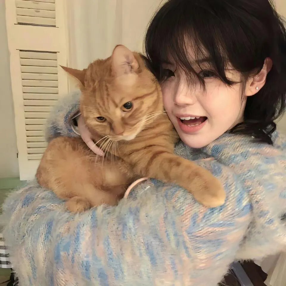 海岸线不污正业sp